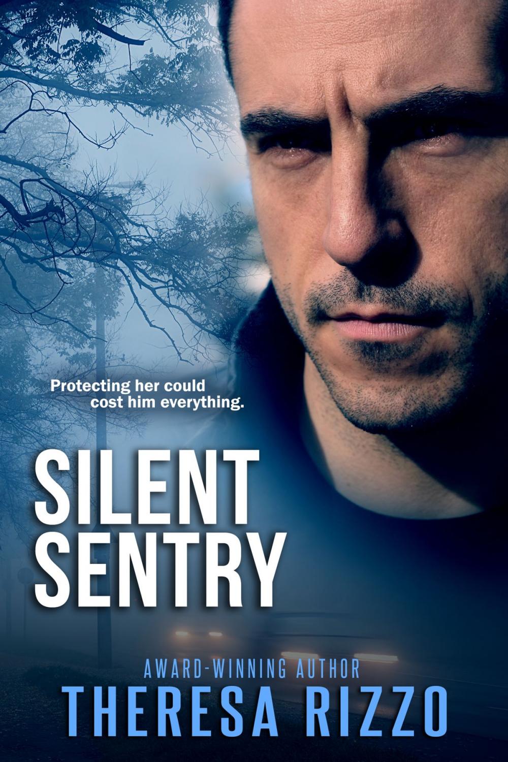 Big bigCover of Silent Sentry