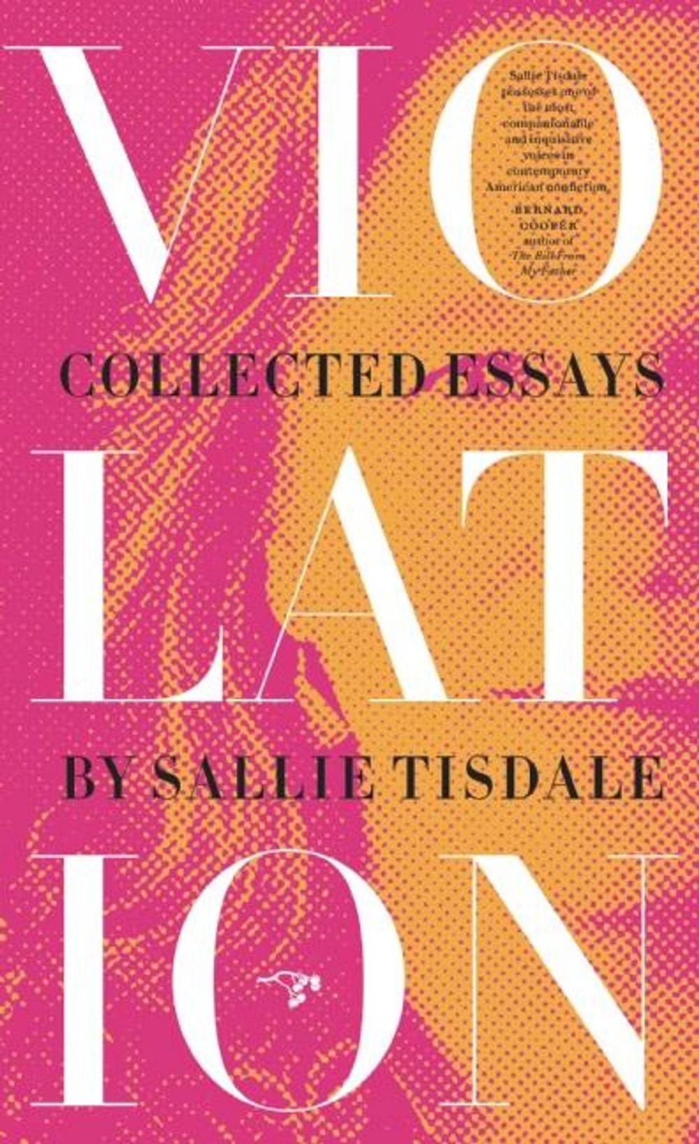 Big bigCover of Violation: Collected Essays