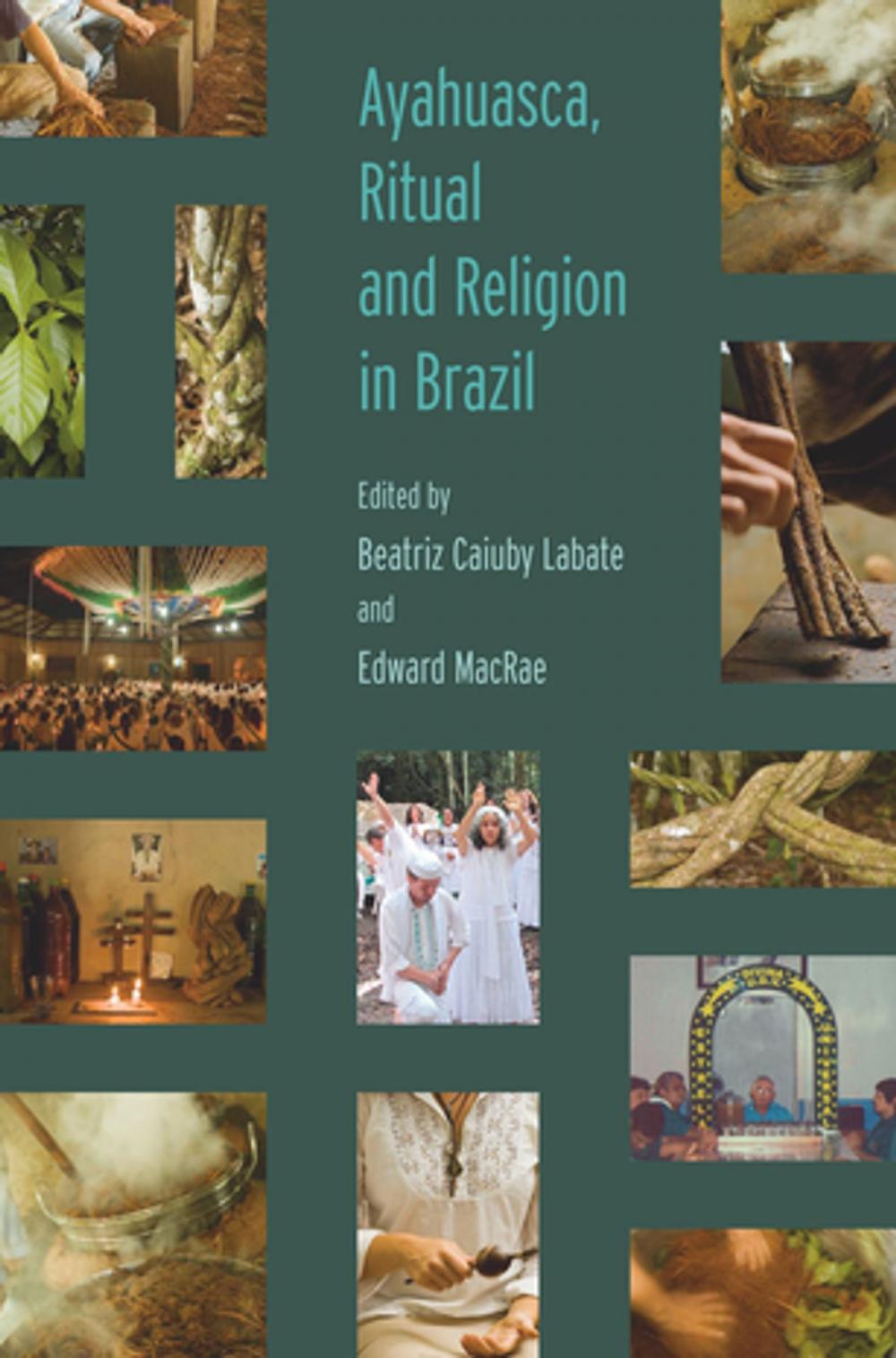 Big bigCover of Ayahuasca, Ritual and Religion in Brazil