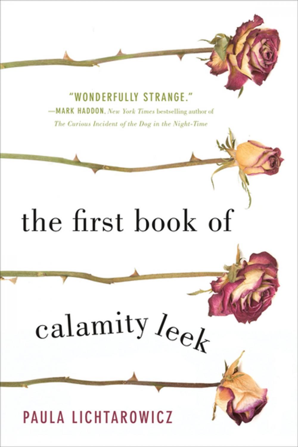 Big bigCover of The First Book of Calamity Leek
