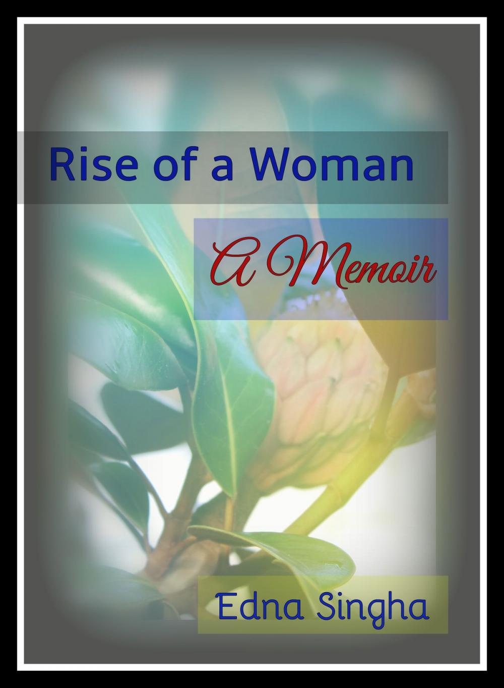 Big bigCover of Rise of a Woman: A Memoir