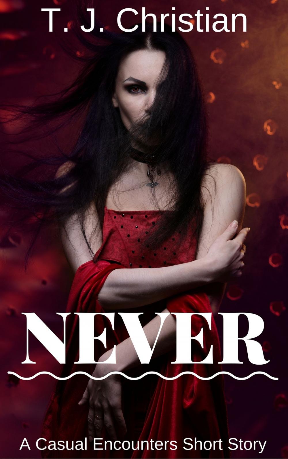 Big bigCover of Never: A Casual Encounters Short Story
