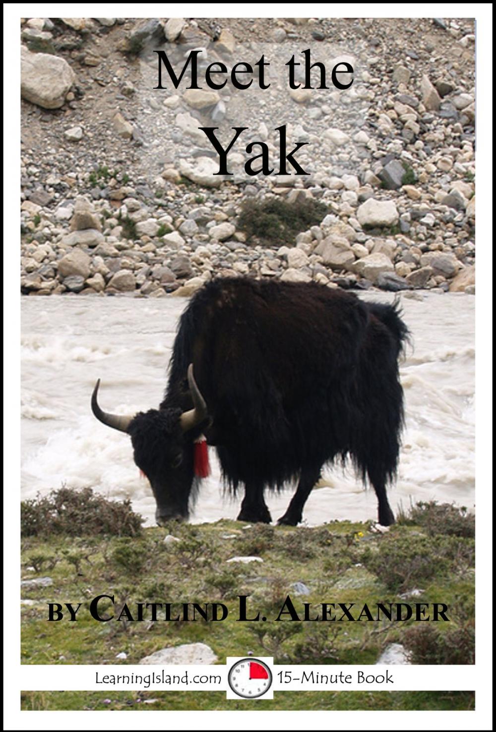Big bigCover of Meet the Yak: A 15-Minute Book for Early Readers