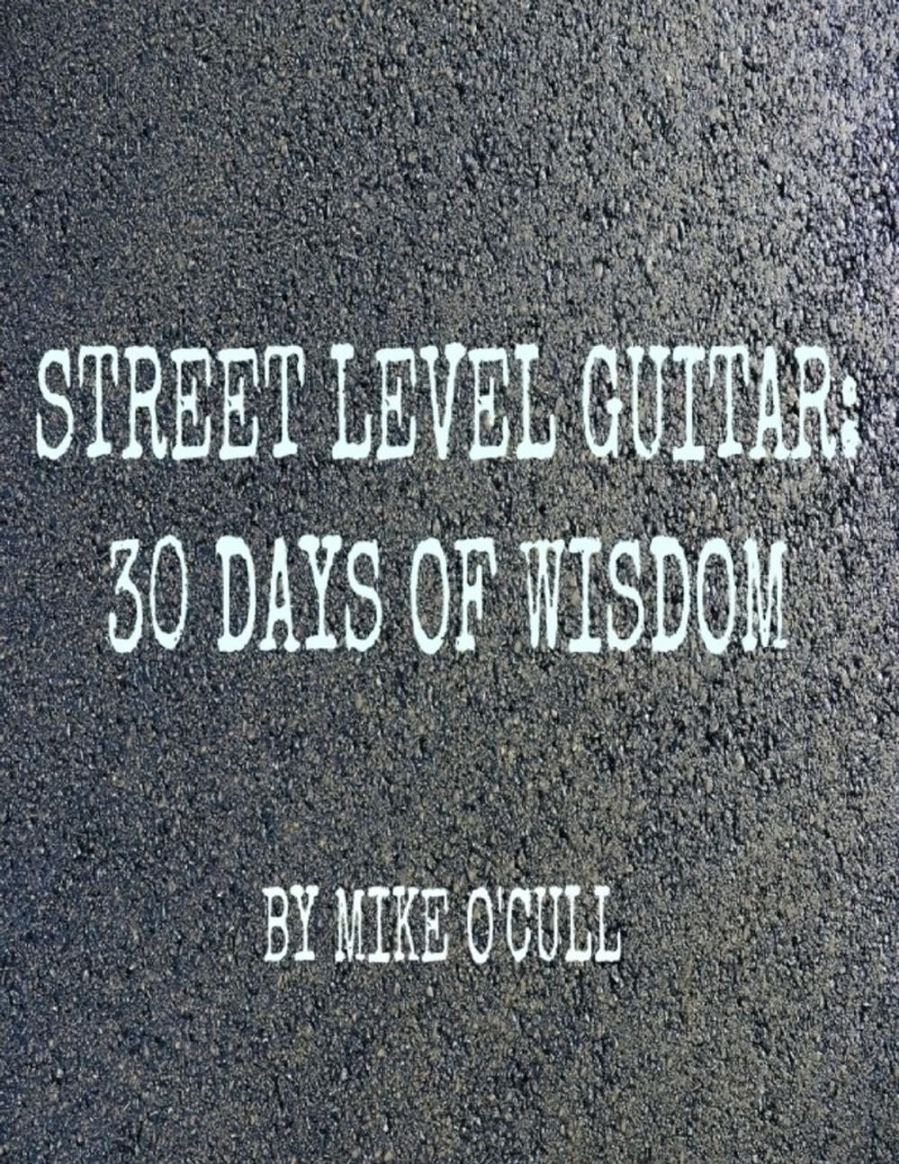 Big bigCover of Street Level Guitar: 30 Days of Wisdom