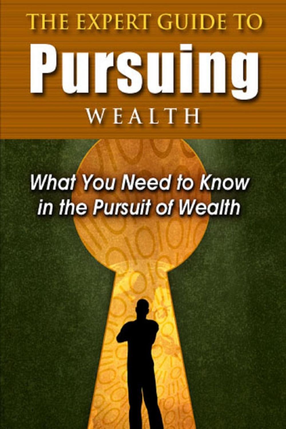 Big bigCover of The Expert Guide to Pursuing Wealth
