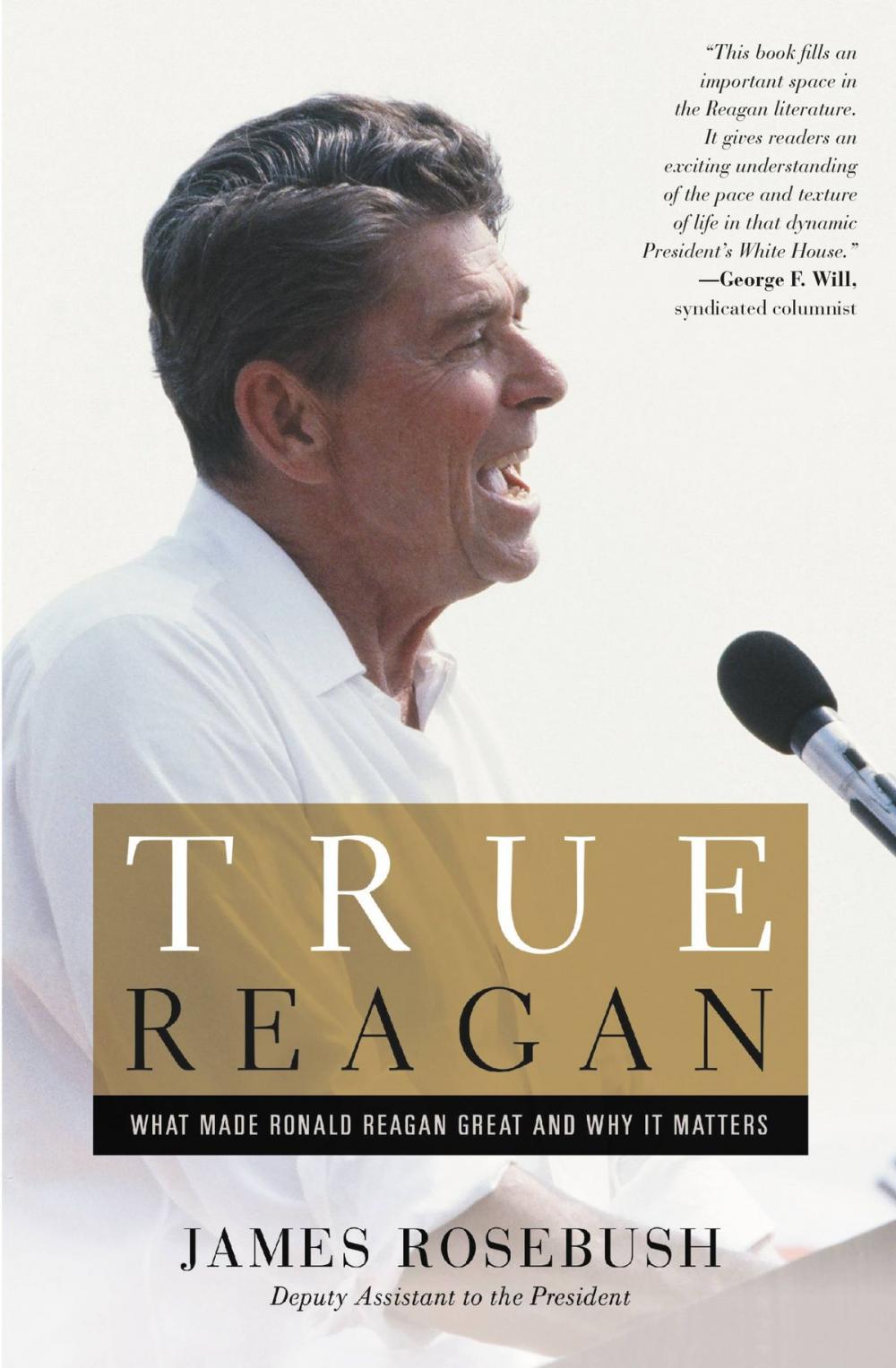 Big bigCover of True Reagan