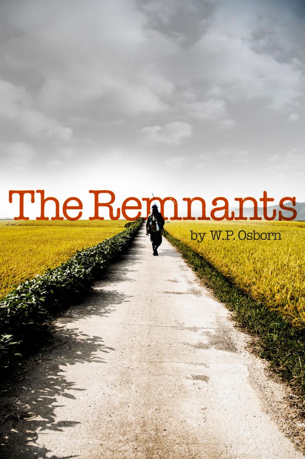 Big bigCover of The Remnants