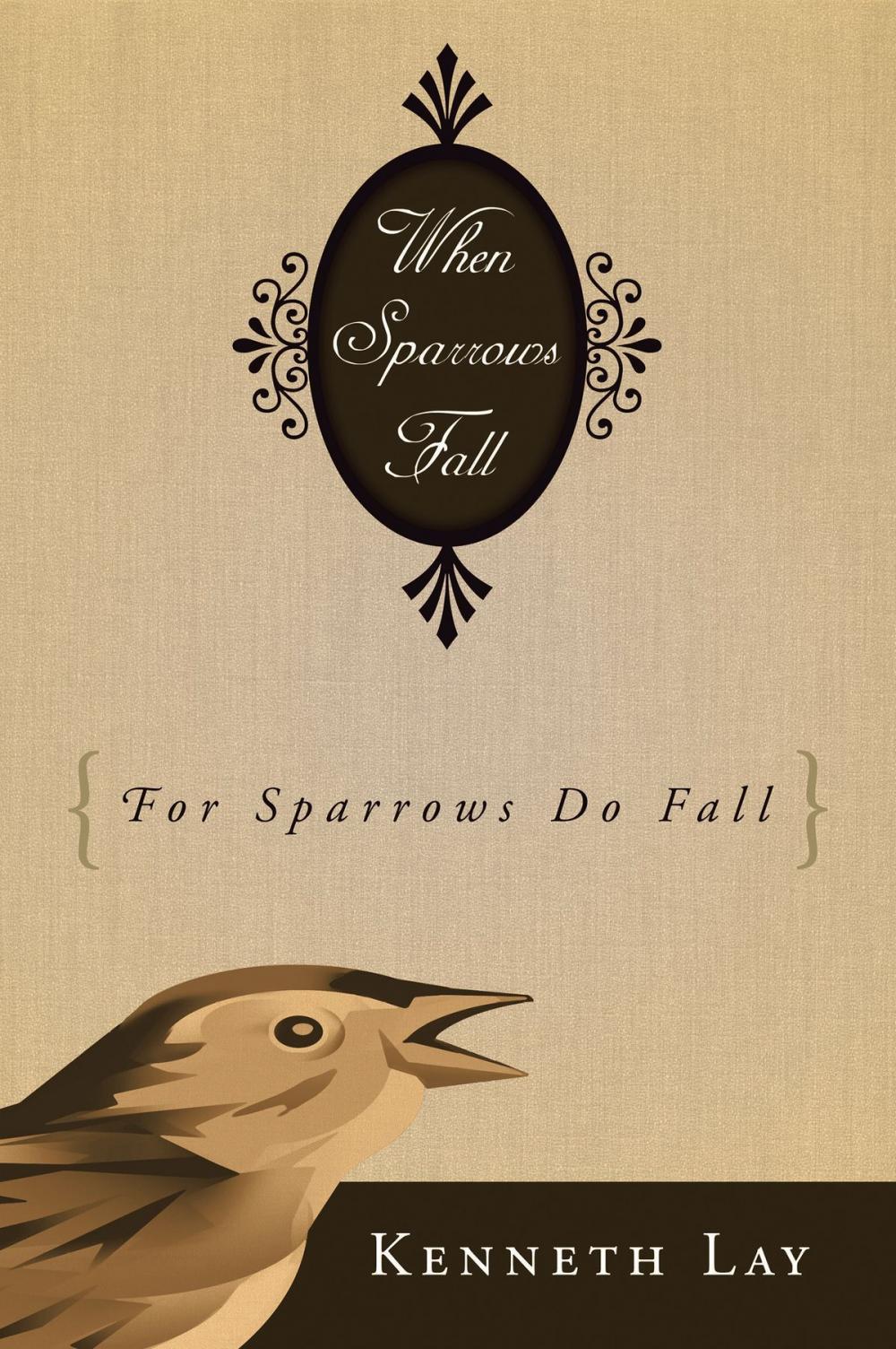 Big bigCover of When Sparrows Fall