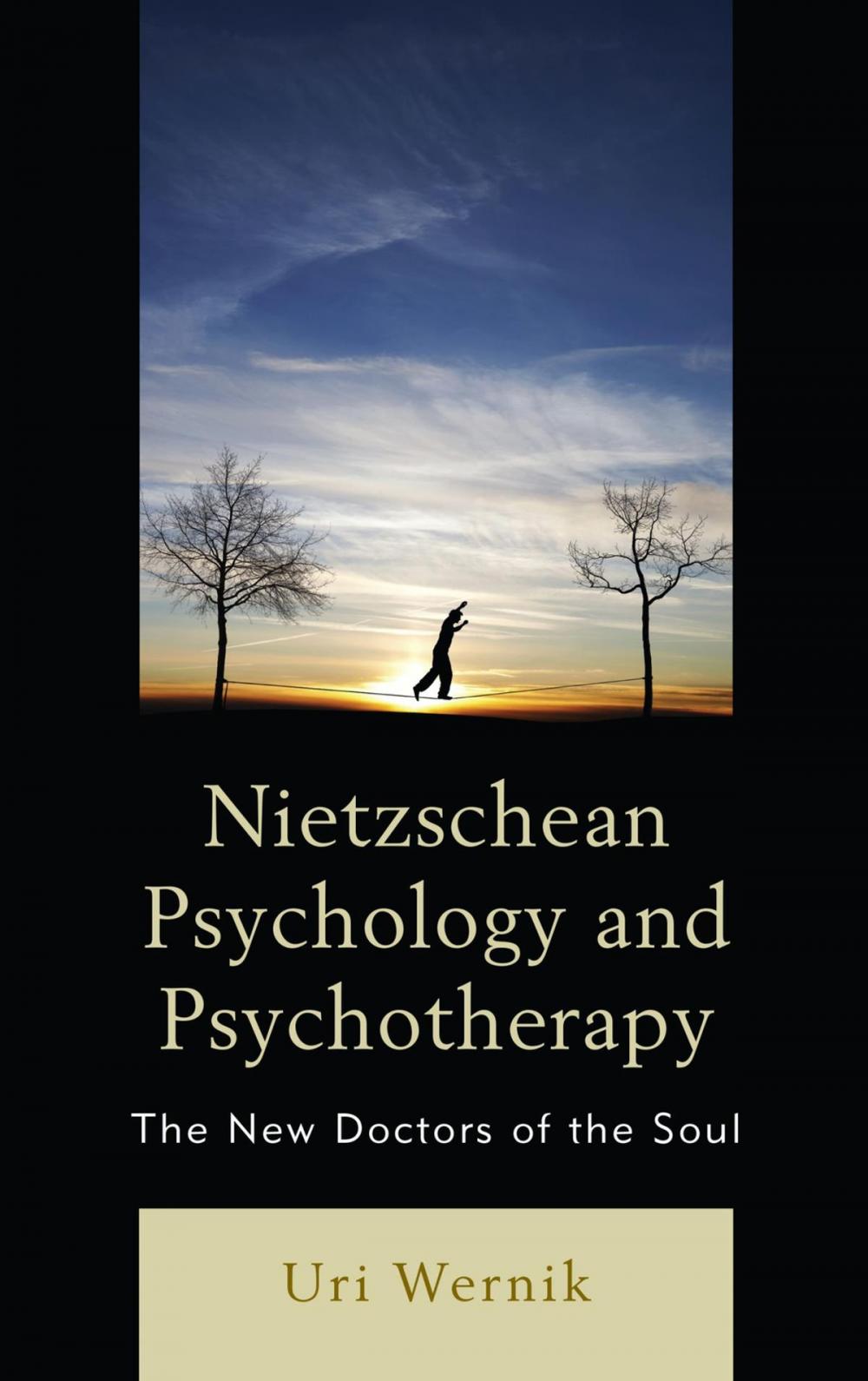 Big bigCover of Nietzschean Psychology and Psychotherapy
