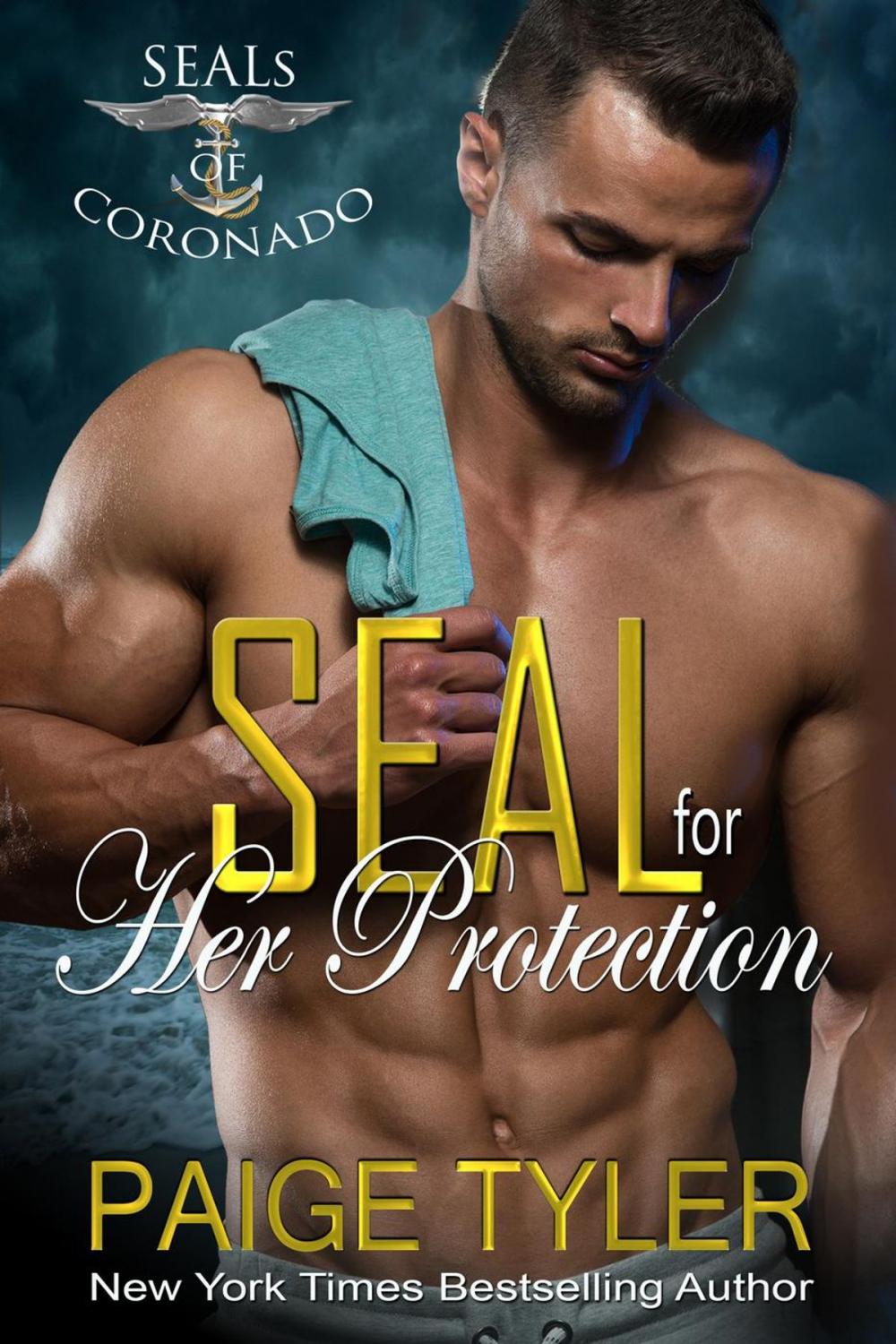 Big bigCover of SEAL for Her Protection