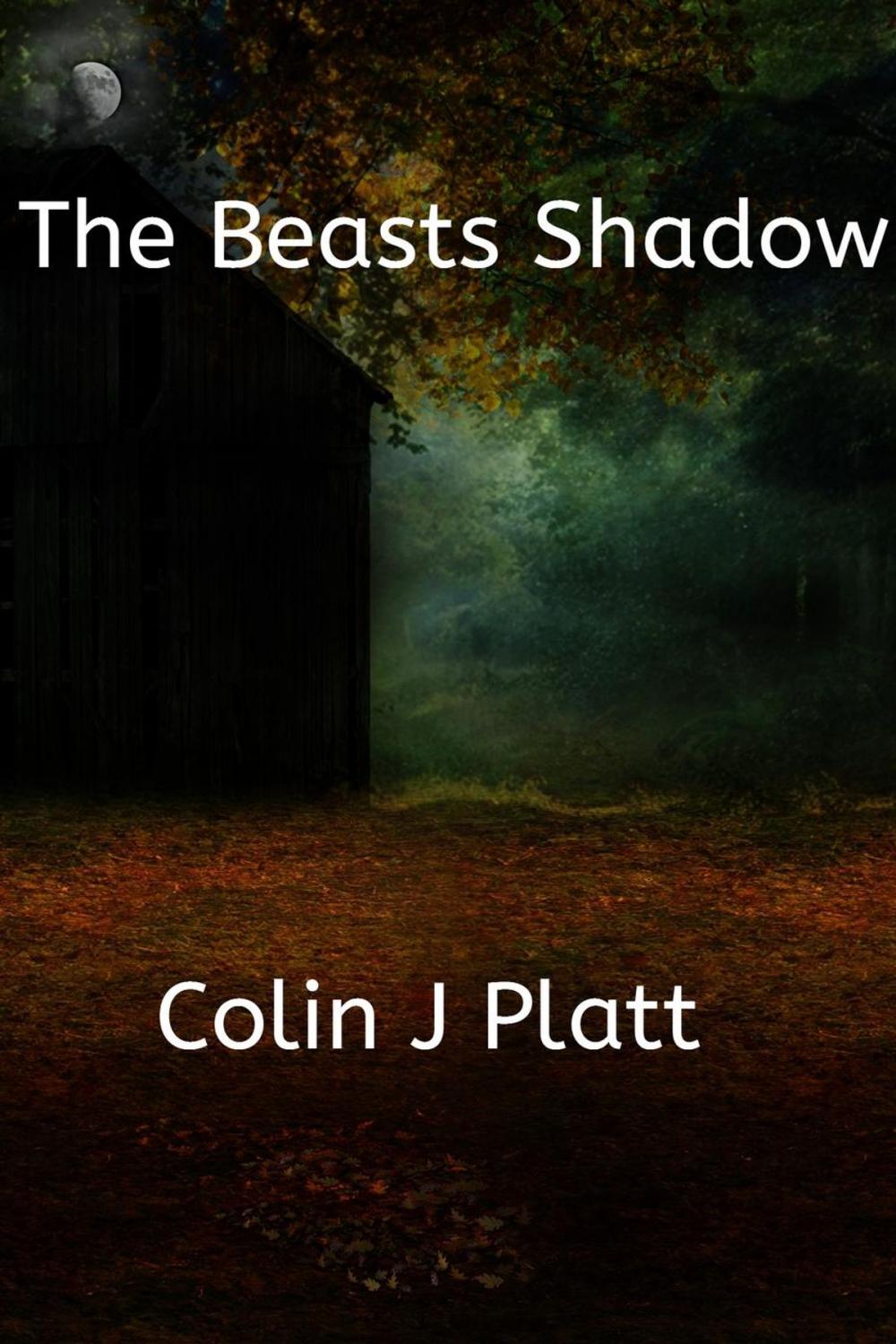 Big bigCover of The Beasts Shadow