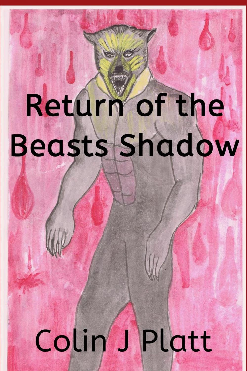 Big bigCover of Return of the Beasts Shadow