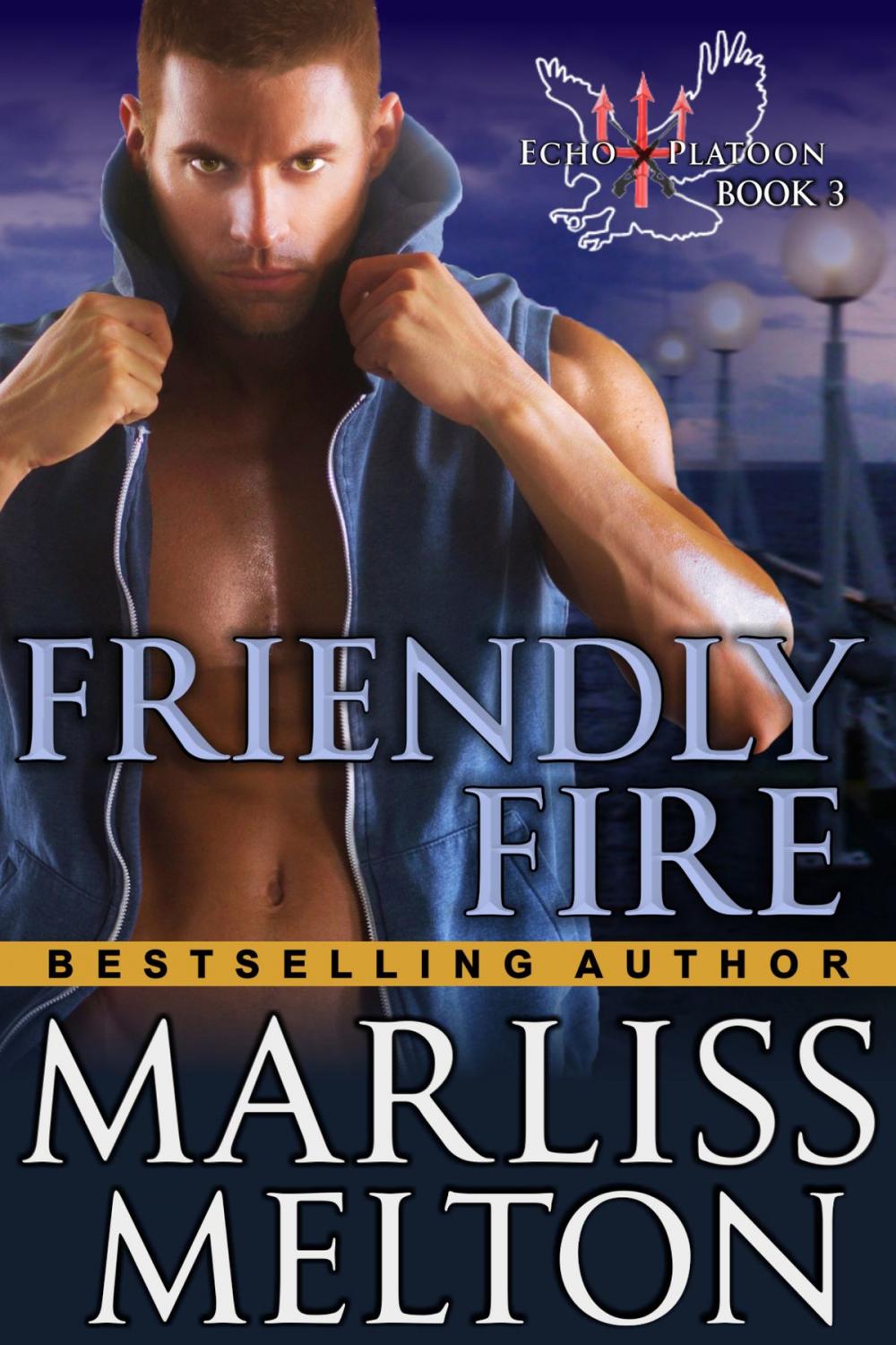 Big bigCover of Friendly Fire (The Echo Platoon Series, Book 3)