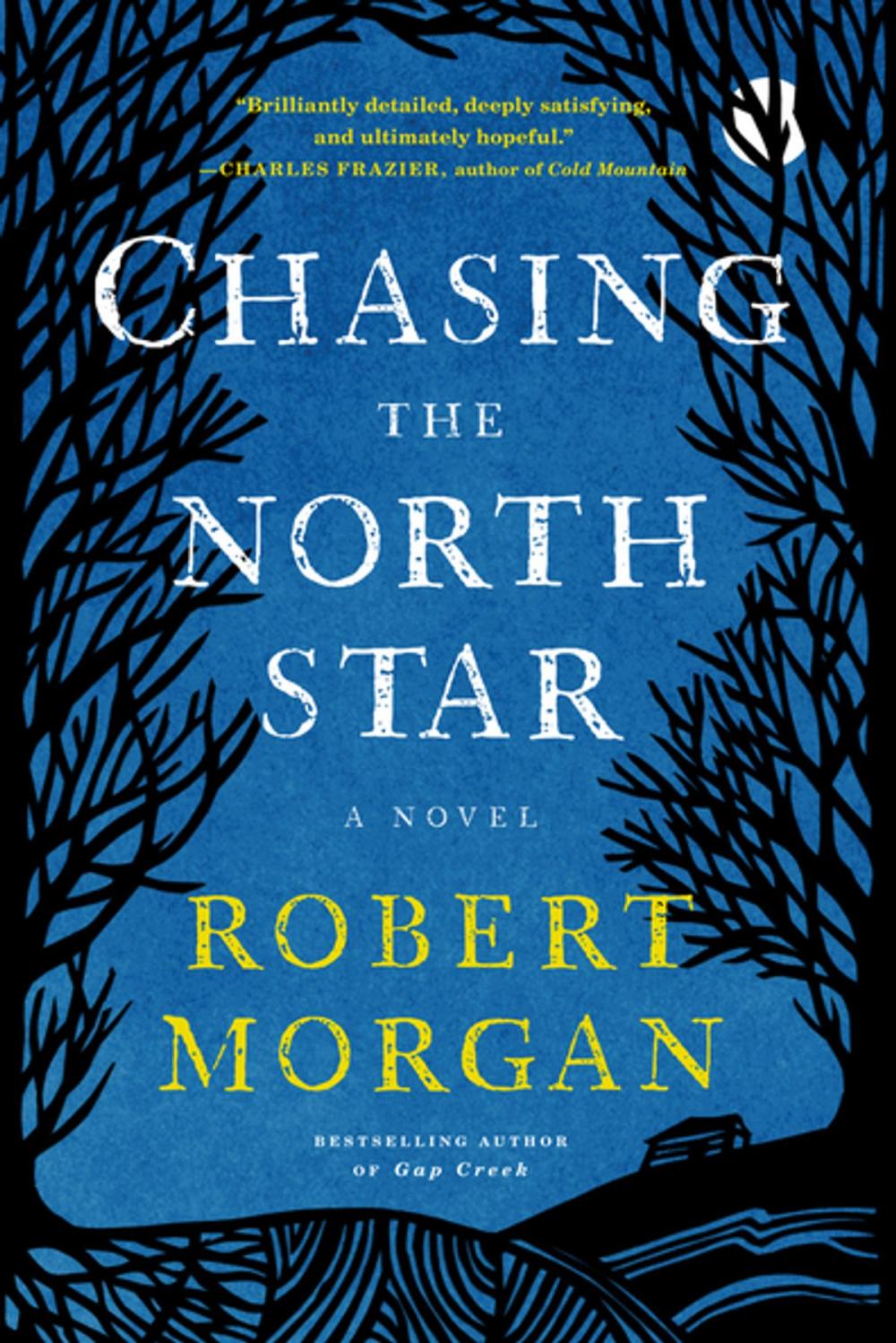 Big bigCover of Chasing the North Star