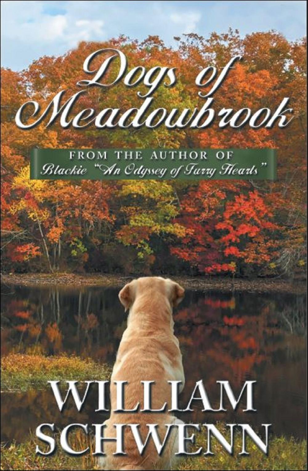Big bigCover of Dogs of Meadowbrook