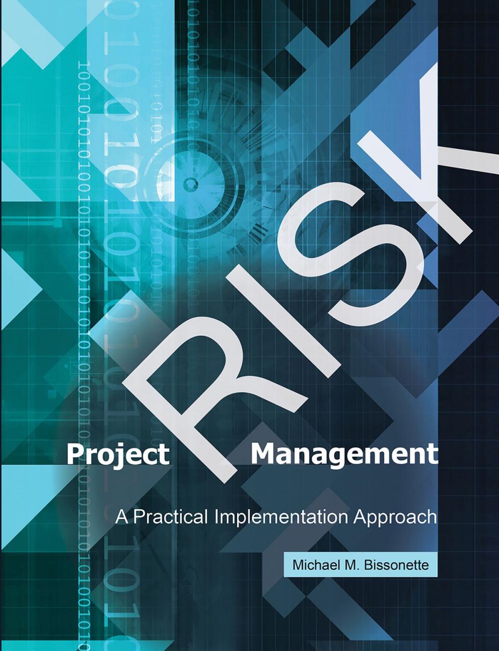 Big bigCover of Project Risk Management