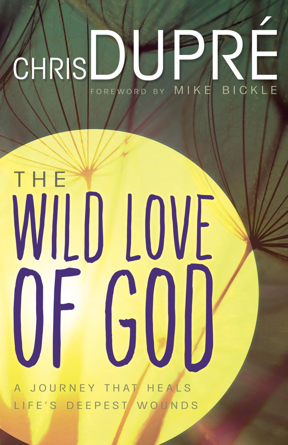 Big bigCover of The Wild Love of God