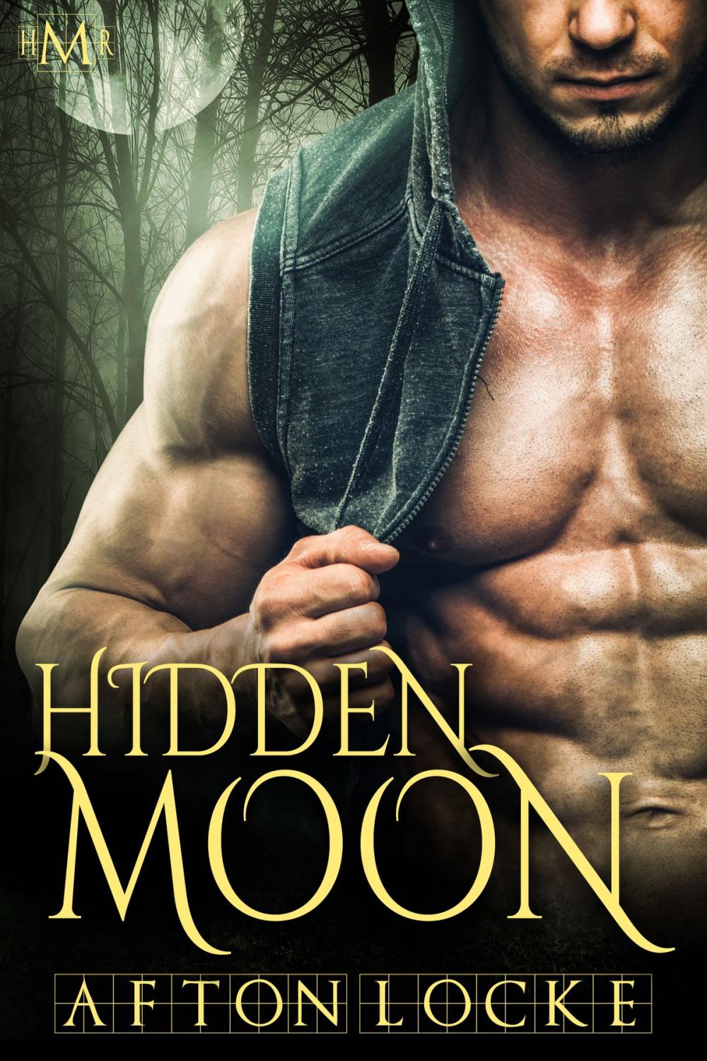 Big bigCover of Hidden Moon (Hot Moon Rising #4)