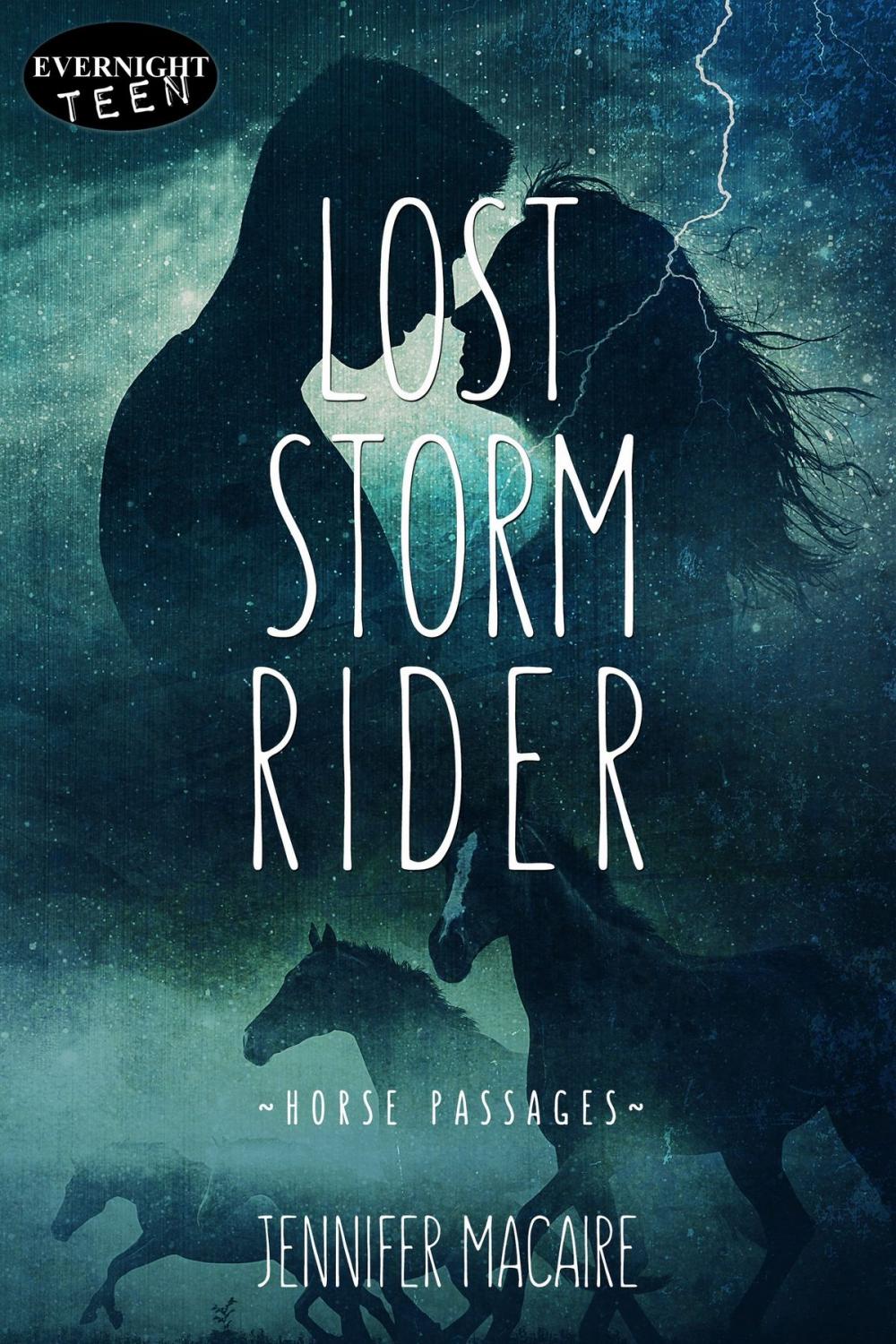 Big bigCover of Lost Storm Rider