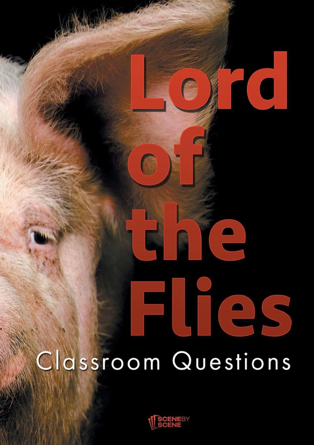 Big bigCover of Lord of the Flies Classroom Questions