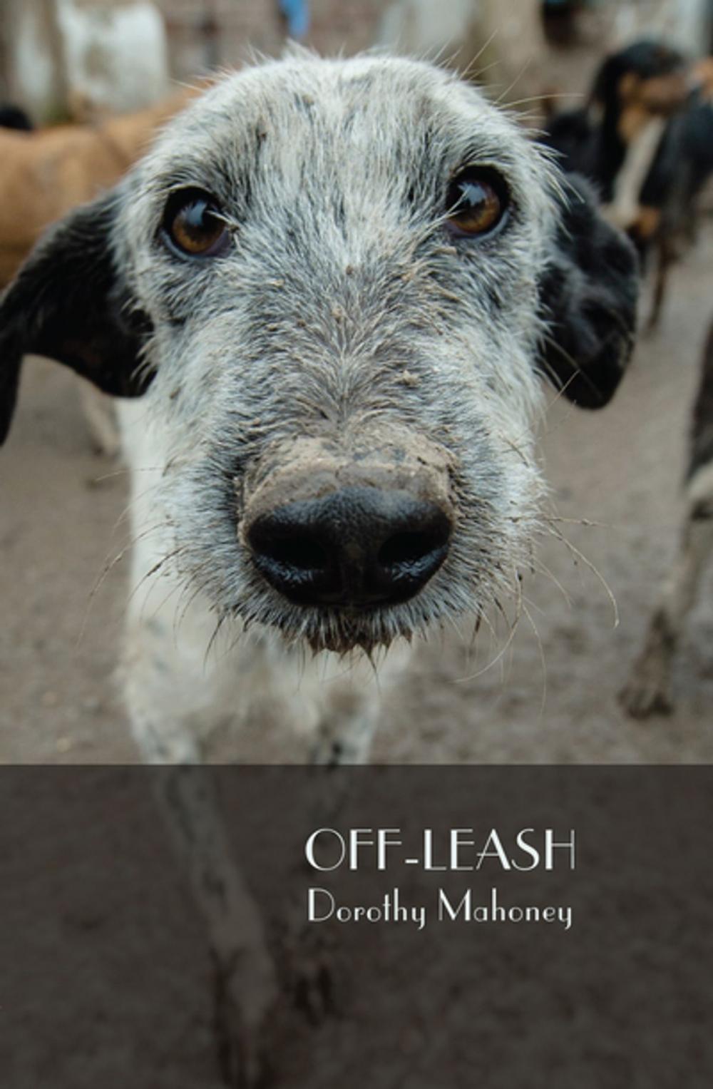 Big bigCover of Off-Leash