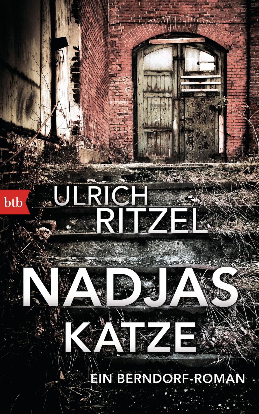 Big bigCover of Nadjas Katze
