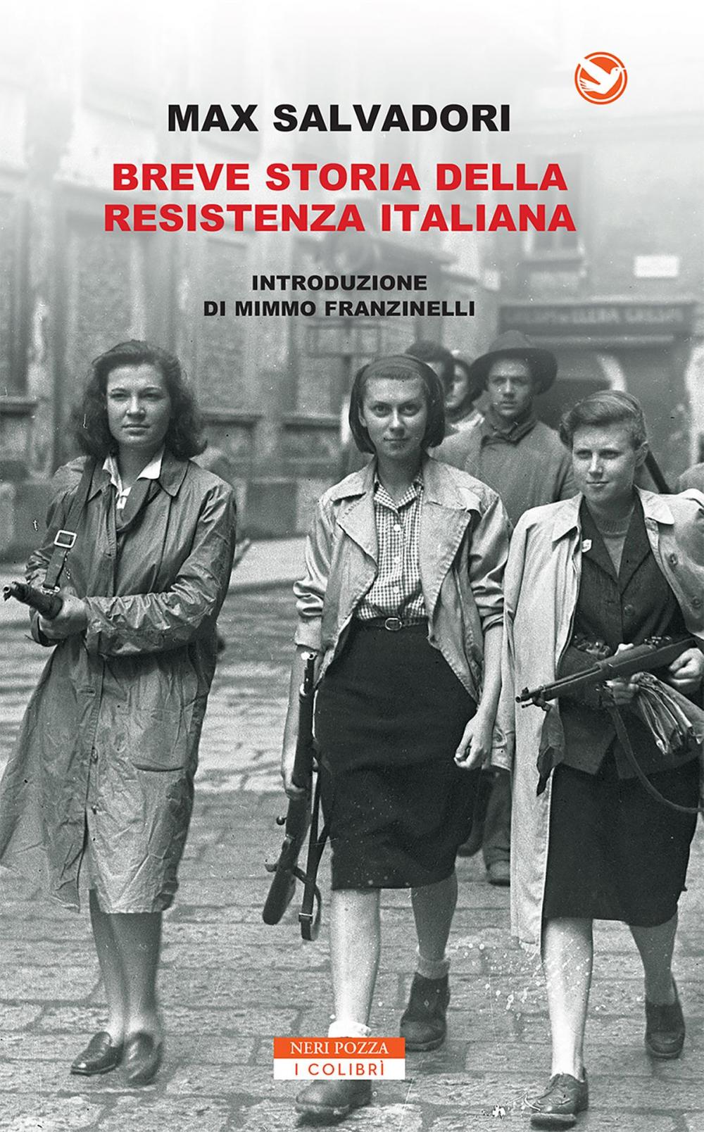 Big bigCover of Breve storia della Resistenza Italiana