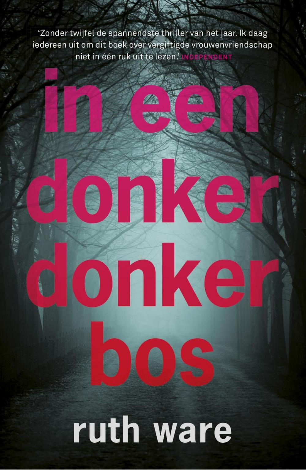 Big bigCover of In een donker, donker bos