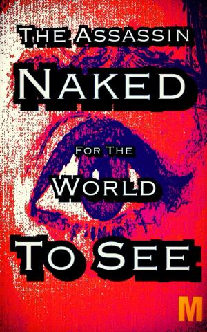 Cover of The Assassin: Naked for the World to See by Alexandra Kitty, A Dangerous Woman Story Studio
