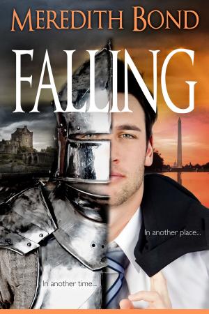 Cover of the book Falling by Kymberlee Miller
