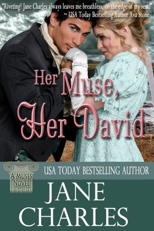 Cover of the book Her Muse, Her David by C S Gibbs