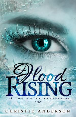 bigCover of the book Flood Rising by 