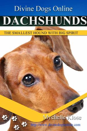 Book cover of Dachshunds