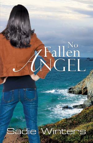 Cover of the book No Fallen Angel by Melissa Price