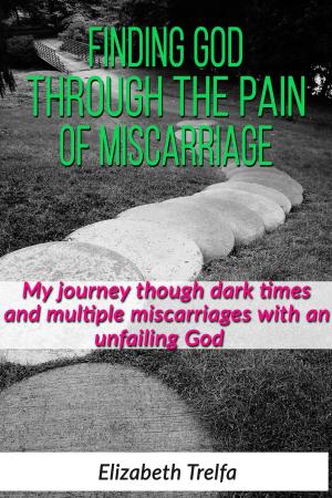 Book cover of Finding God Through The Pain of Miscarriage