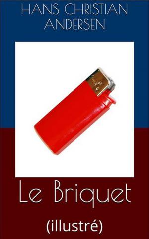 Book cover of Le Briquet