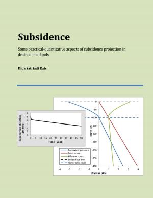 Cover of the book Subsidence by Jim Spinosa