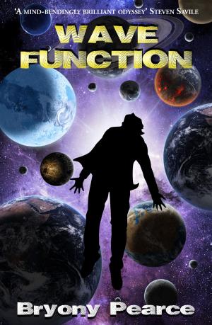 Cover of the book Wavefunction by Lance Parkin