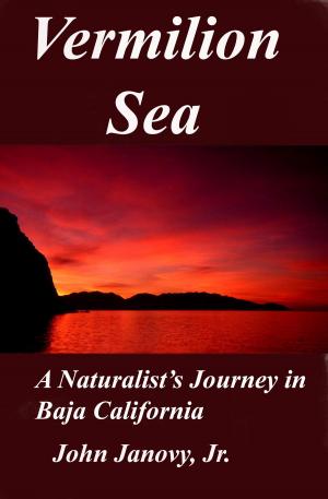 Book cover of Vermilion Sea