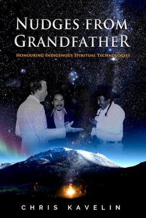 Cover of the book Nudges from Grandfather by advait pradhan