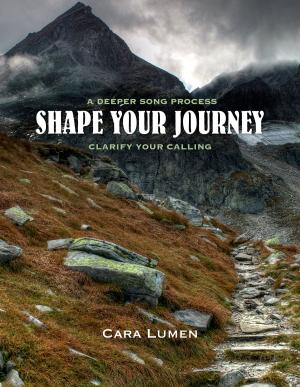 Cover of the book Shape Your Journey, Clarify Your Process by Dr. Ebenezer Robinson, PhD