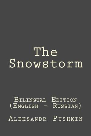Book cover of The Snowstorm