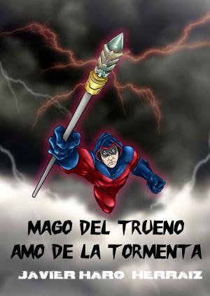Book cover of MAGO DEL TRUENO: AMO DE LA TORMENTA
