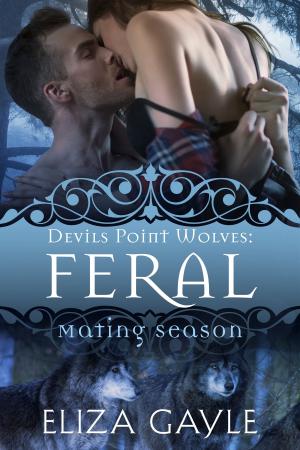 Cover of the book Feral by Angel Sefer