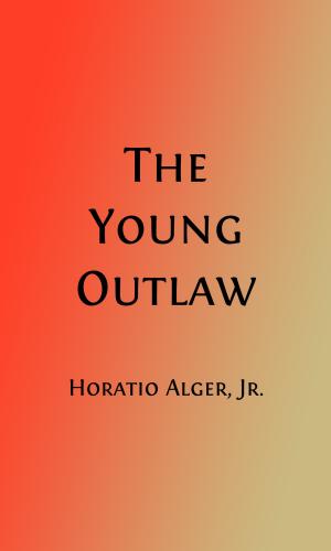 Cover of the book The Young Outlaw (Illustrated) by Horatio Alger, Jr.