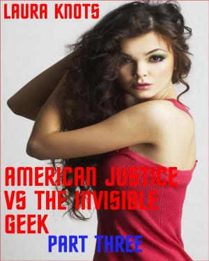 Book cover of American Justice vs the Invisible Geek Part Three