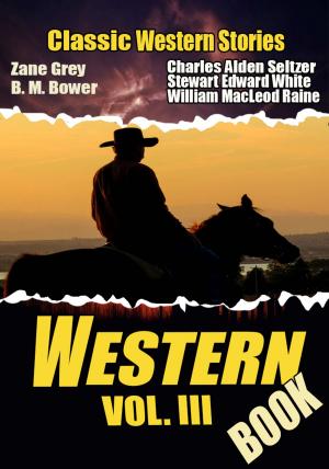 Cover of the book THE WESTERN BOOK VOL. III by GRACE LIVINGSTON HILL, WILLIAM MACLEOD RAINE, ZANE GREY, JACKSON GREGORY, JAMES B. HENDRYX, BOOTH TARKINGTON