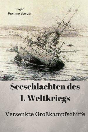 Cover of the book Seeschlachten des 1. Weltkriegs by Jürgen Prommersberger
