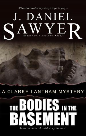 Cover of the book The Bodies in the Basement by M. Ruth Myers