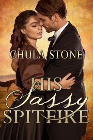 Cover of the book His Sassy Spitfire by Chula Stone
